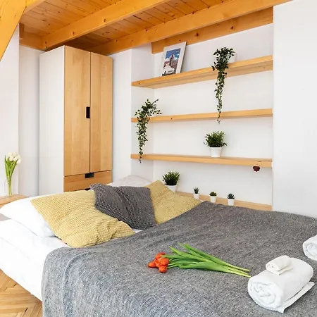 3 Bedroom Old Town Daire Krakow